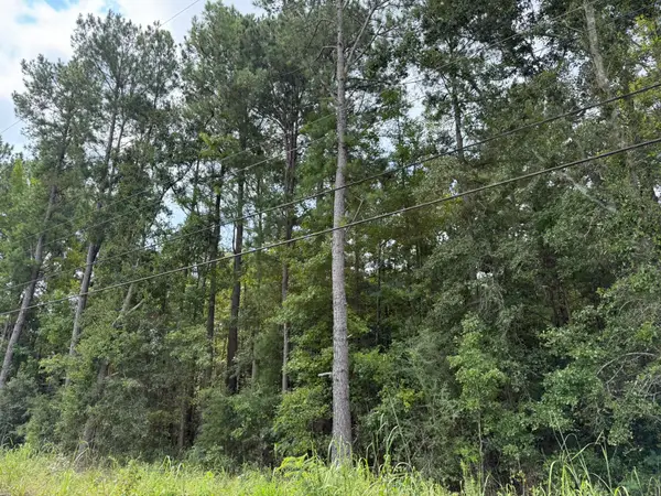 0 Charleston Highway, Orangeburg, SC 29115