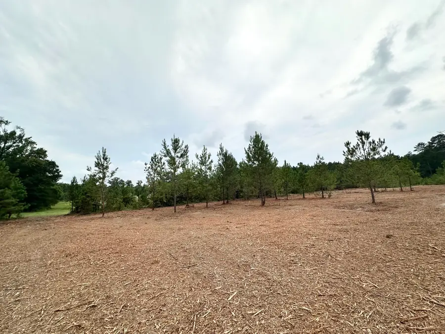 0 Wesley Grove Church Rd, Cordova, SC 29039 - #3