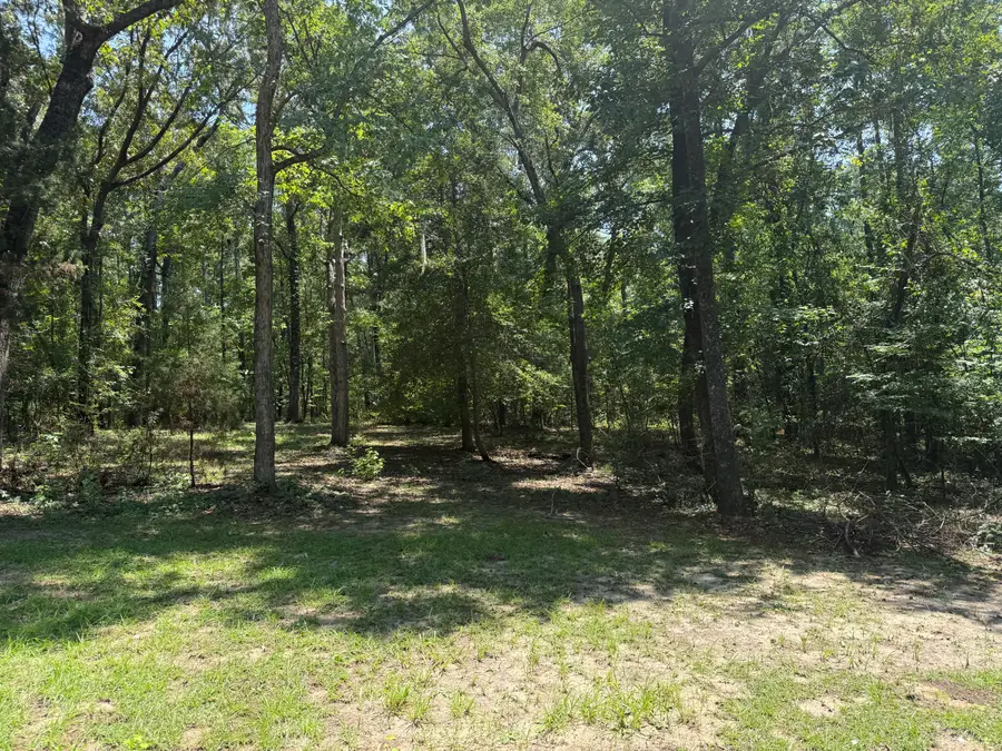 264 Michelle Street, Eutawville, SC 29048 - #2