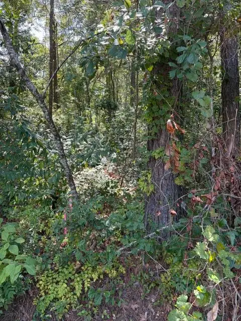 0 Alexander Circle, Summerville, SC 29486