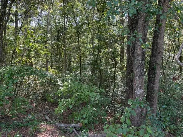 0 Alexander Circle, Summerville, SC 29486 - #3