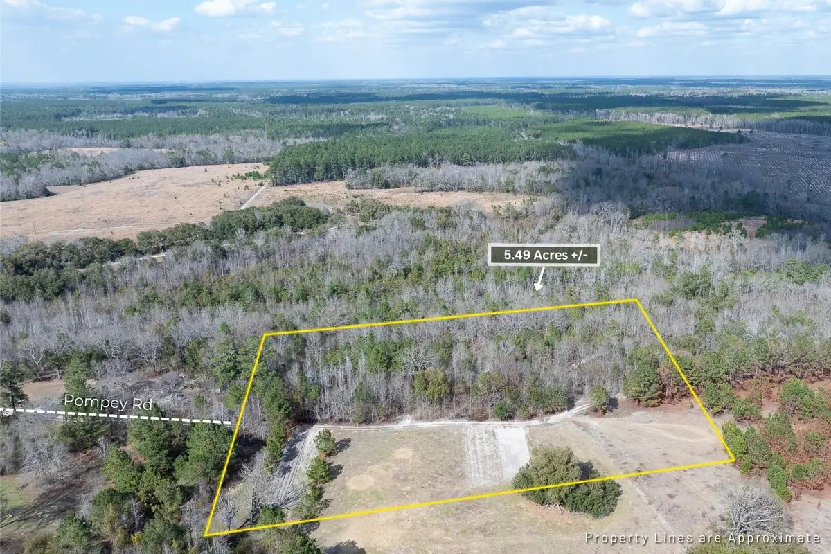 2 Pompey Road, Manning, SC 29102 - #1