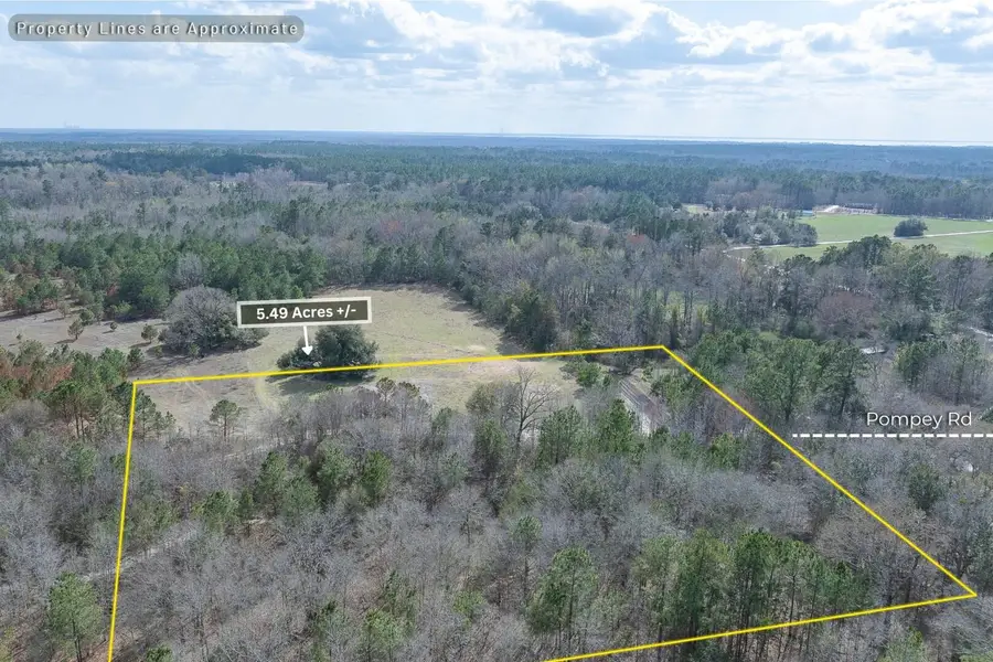 2 Pompey Road, Manning, SC 29102 - #3