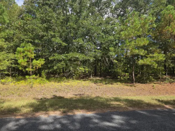 0 Prospect Street, Bowman, SC 29018