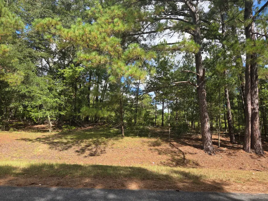 0 Prospect Street, Bowman, SC 29018 - #3