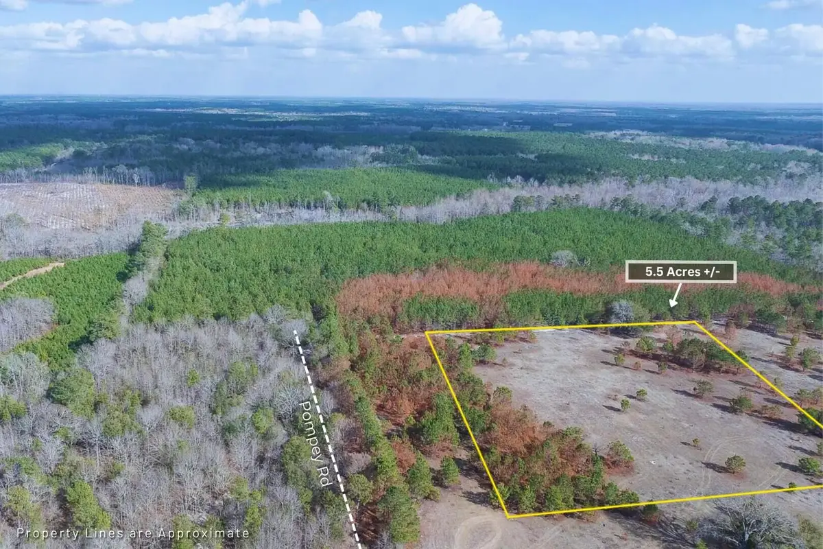 5 Pompey Road, Manning, SC 29102 - #1