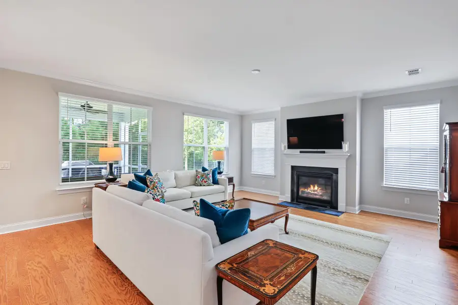 1184 Cultivator Street, Mount Pleasant, SC 29466 - #3