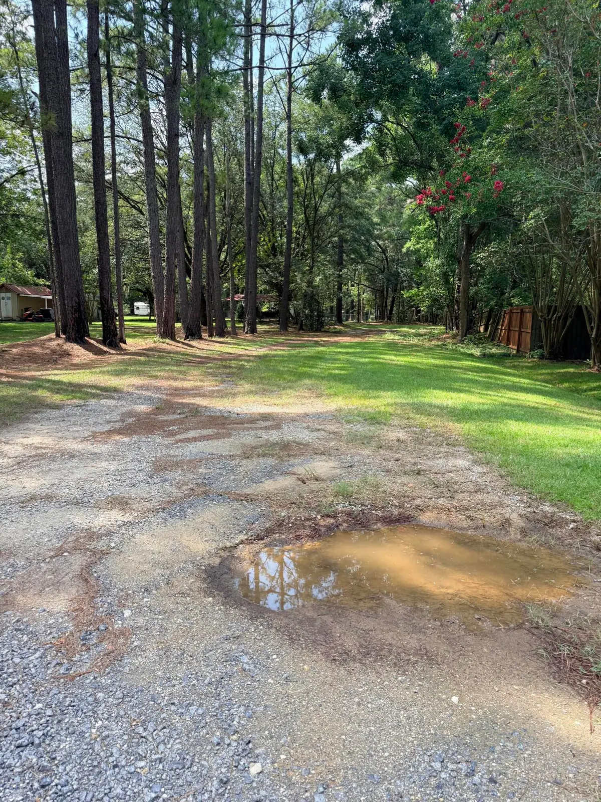 109 Cattail Court, Moncks Corner, SC 29461 - #1