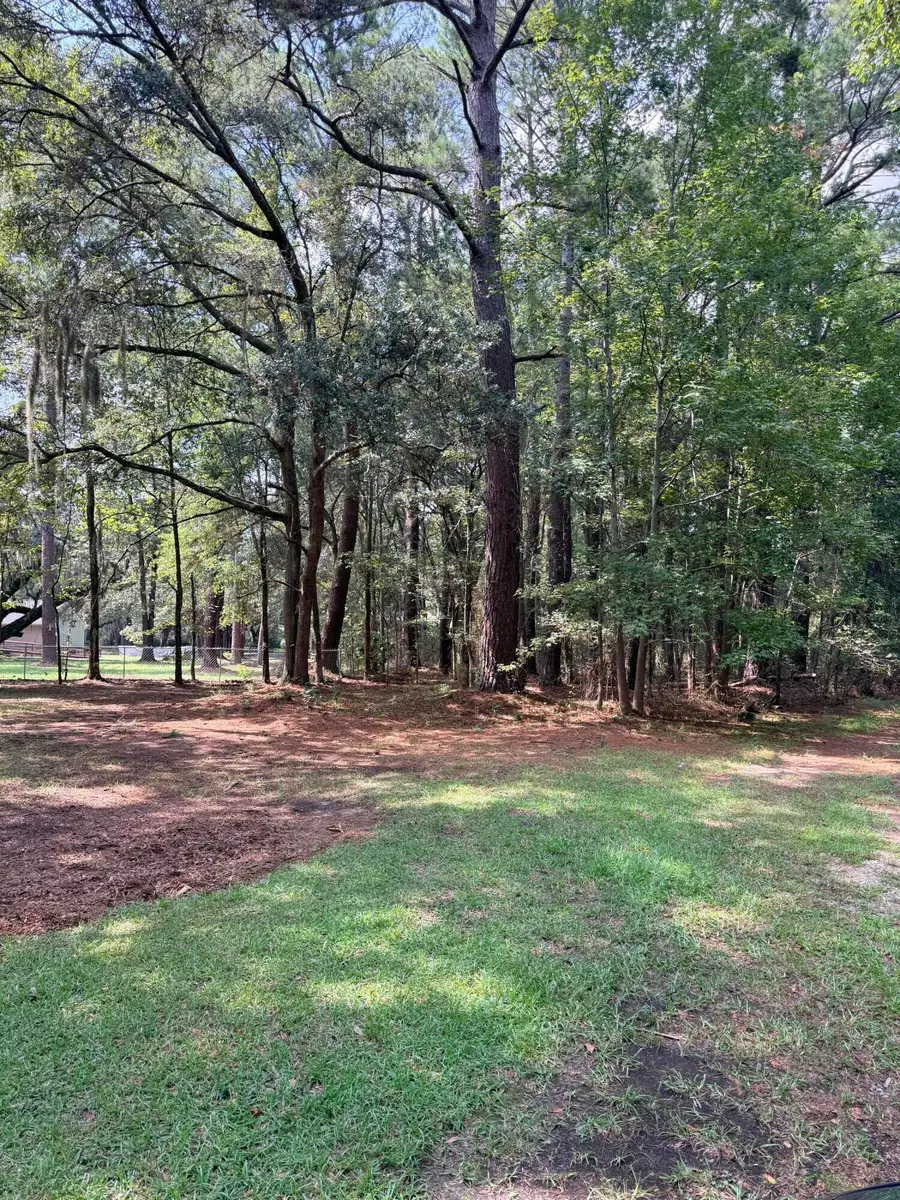 109 Cattail Court, Moncks Corner, SC 29461 - #2
