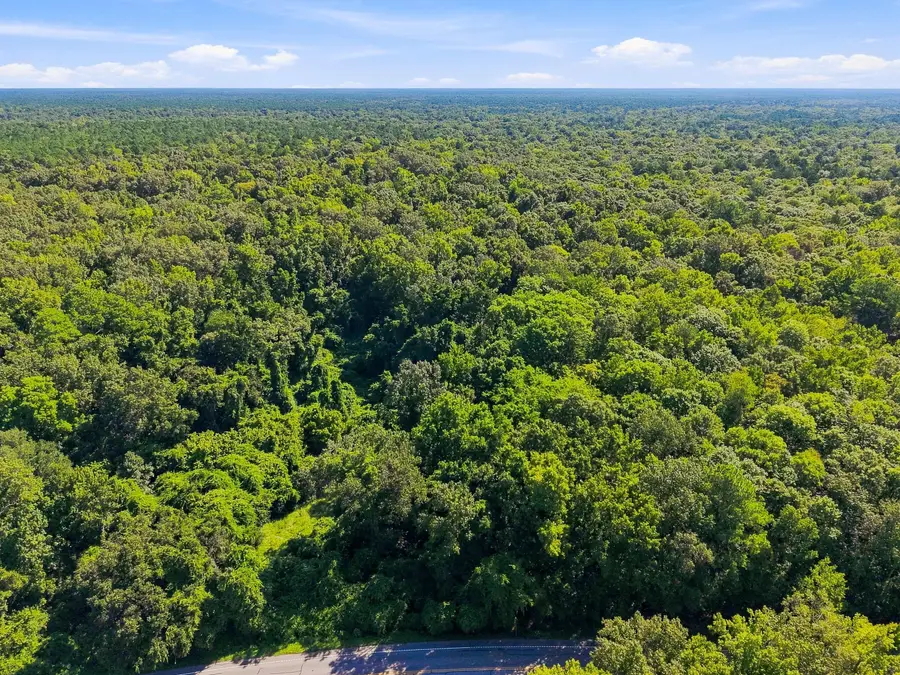 3796 Highway 402, Cordesville, SC 29434 - #2