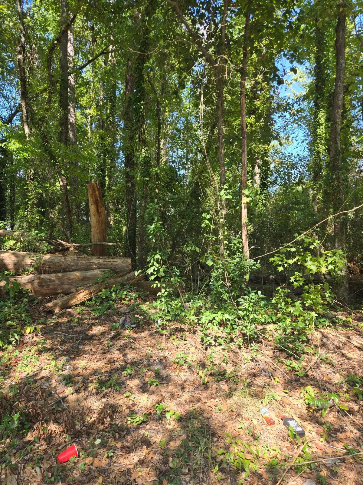 0 Nance Street, Orangeburg, SC 29115 - #1