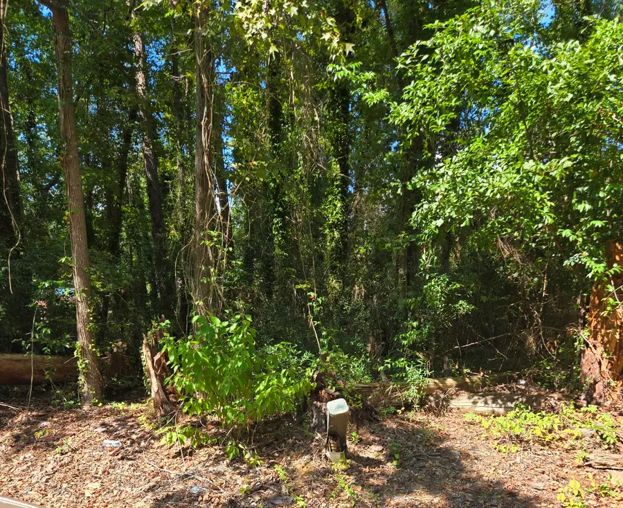 0 Nance Street, Orangeburg, SC 29115 - #3