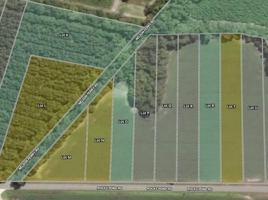 0 Rocks Pond Road #Lot O, Eutawville, SC 29048 - #1