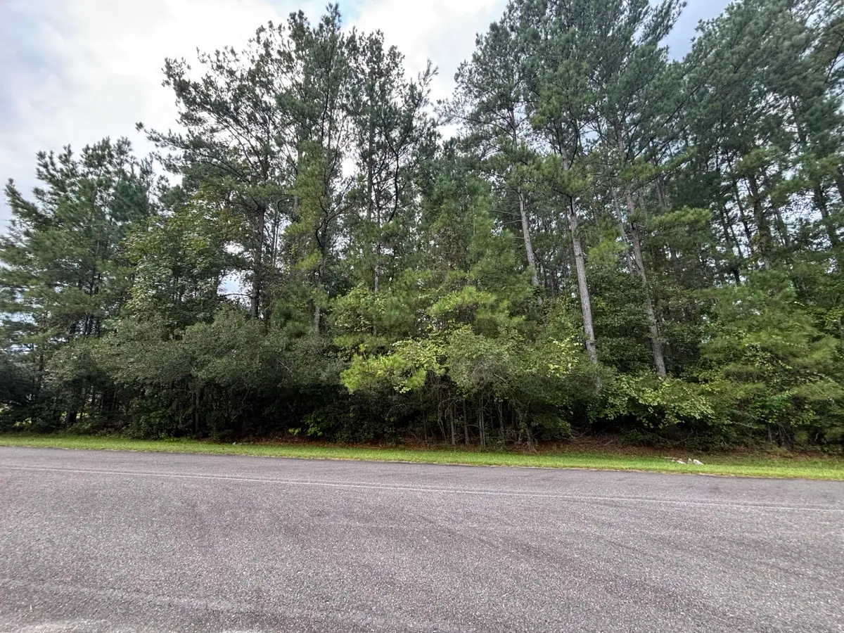 1128 Plantation Overlook, Moncks Corner, SC 29461 - #1