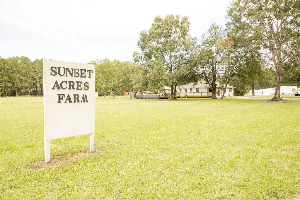 10007 Jacksonboro Road, Cottageville, SC 29435 - #1