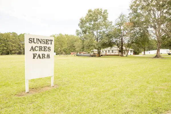 10007 Jacksonboro Road, Cottageville, SC 29435