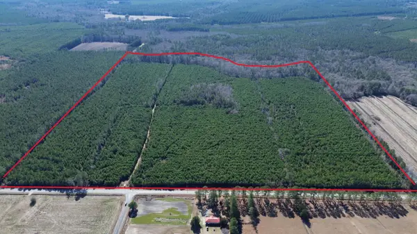 0 Seaboard Road, Andrews, SC 29510