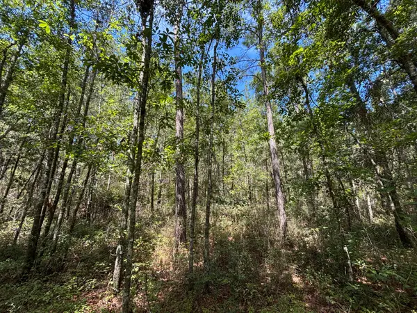 10 Red Oak Road, Cottageville, SC 29435