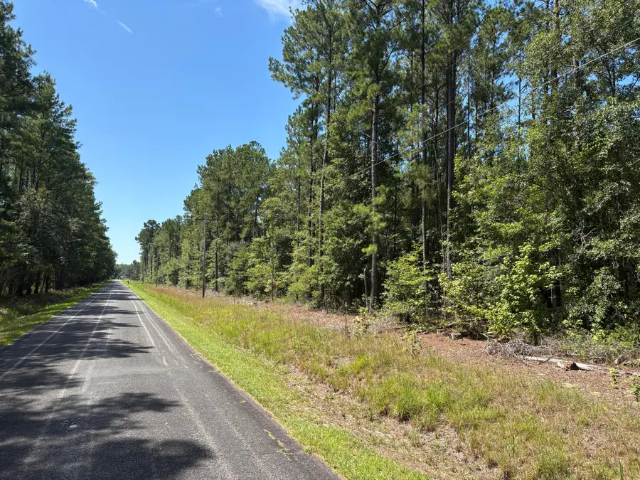 10 Red Oak Road, Cottageville, SC 29435 - #2