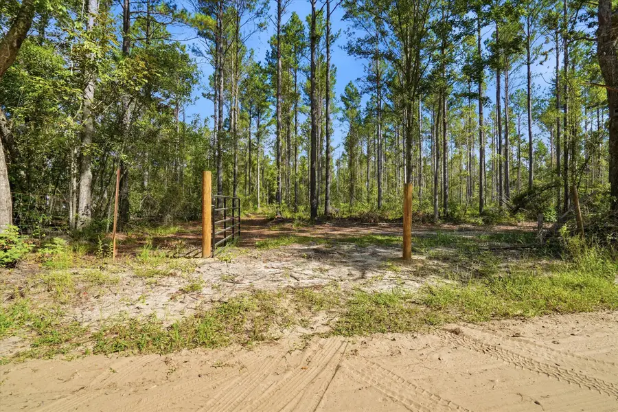 0 Barracada, Walterboro, SC 29488 - #3
