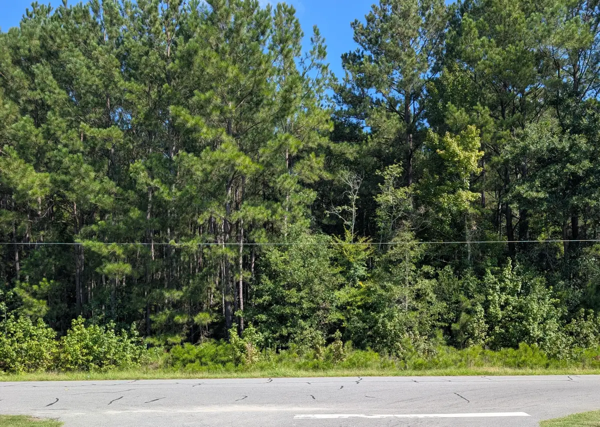 0 Prices Bridge Lane, Walterboro, SC 29488 - #1