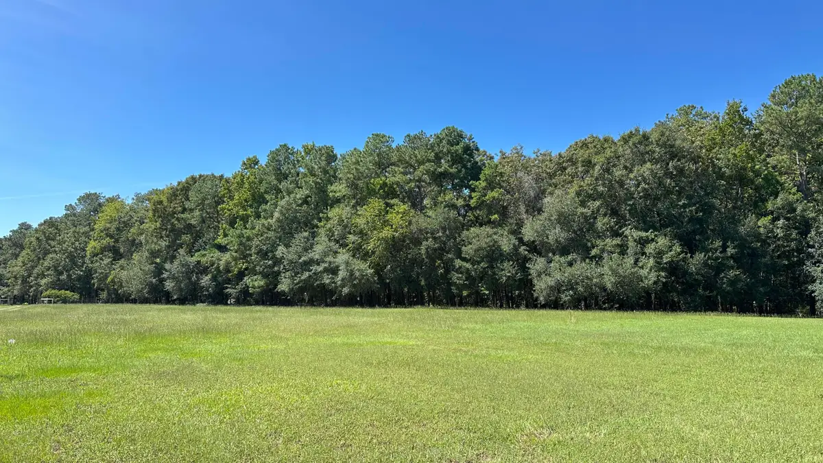 371 Austin Swamp Lane, Ridgeville, SC 29472 - #1