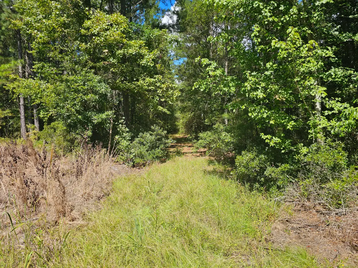 0 Mcalhany Road, Reevesville, SC 29471 - #1