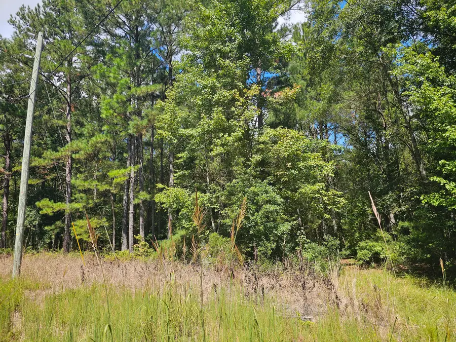 0 Mcalhany Road, Reevesville, SC 29471 - #2