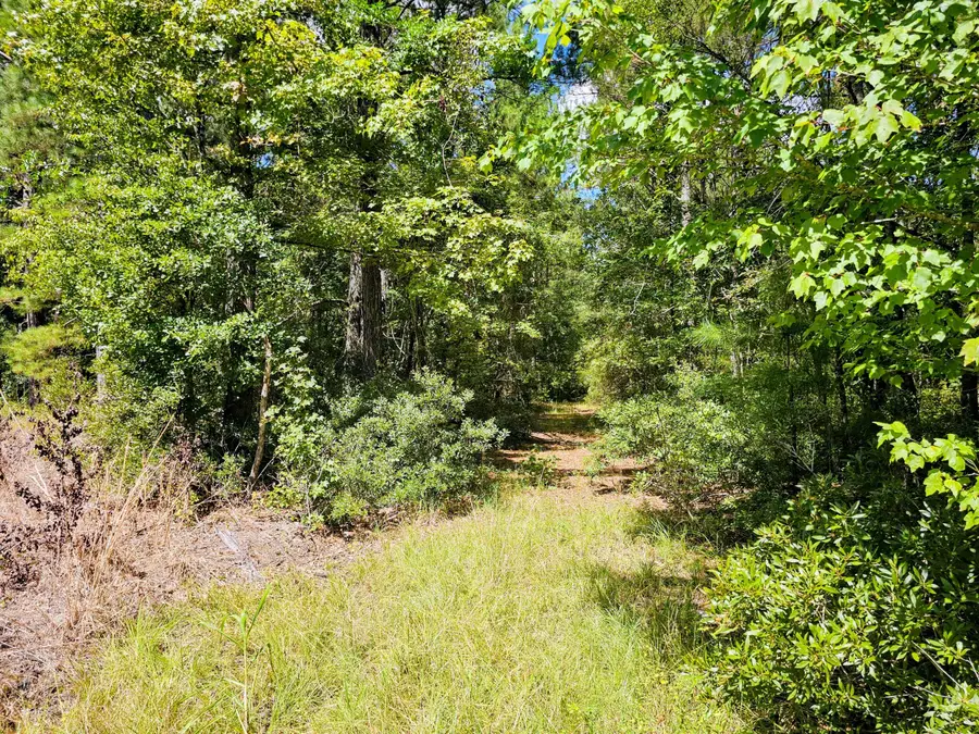 0 Mcalhany Road, Reevesville, SC 29471 - #3