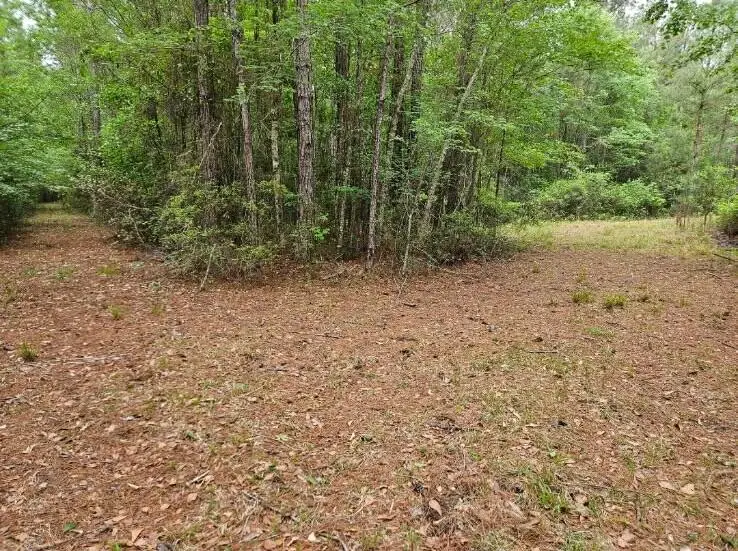 1300 Misty Ridge Lane, Walterboro, SC 29488 - #3