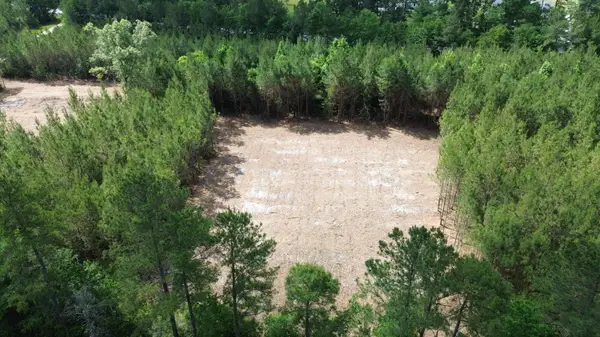 3 Highway 311, Cross, SC 29436