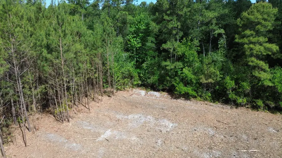 3 Highway 311, Cross, SC 29436 - #2
