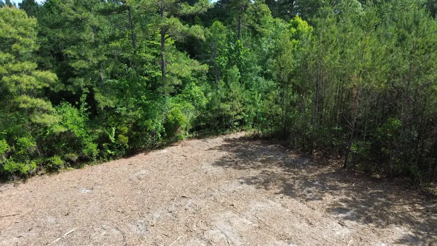 3 Highway 311, Cross, SC 29436 - #3