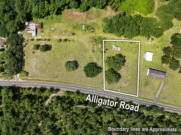0 Alligator Road, Cordesville, SC 29434