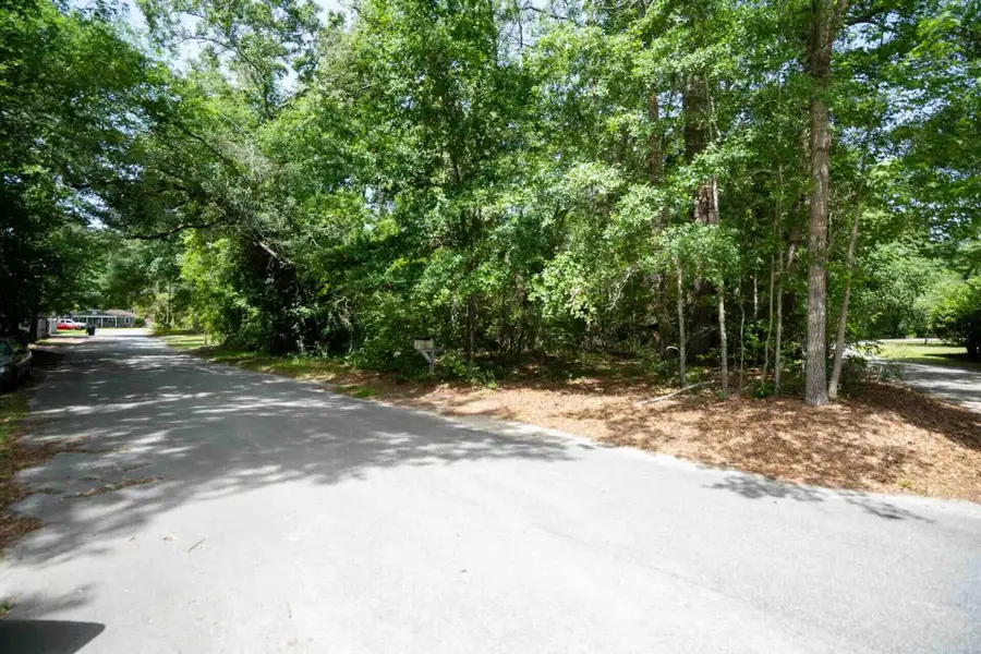 0 Sable Street, Walterboro, SC 29488 - #2