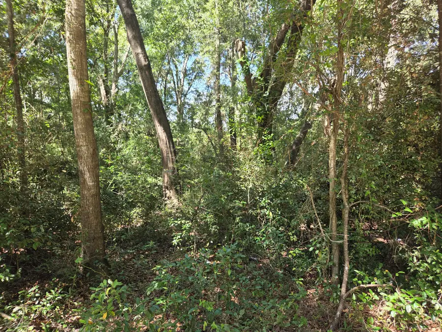 1026c Mathis Ferry Road, Mount Pleasant, SC 29464 - #3