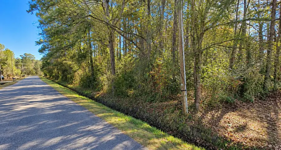 4161 Pageland Street, Conway, SC 29526 - #2
