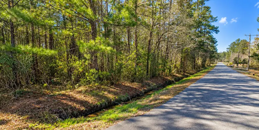 4161 Pageland Street, Conway, SC 29526 - #3
