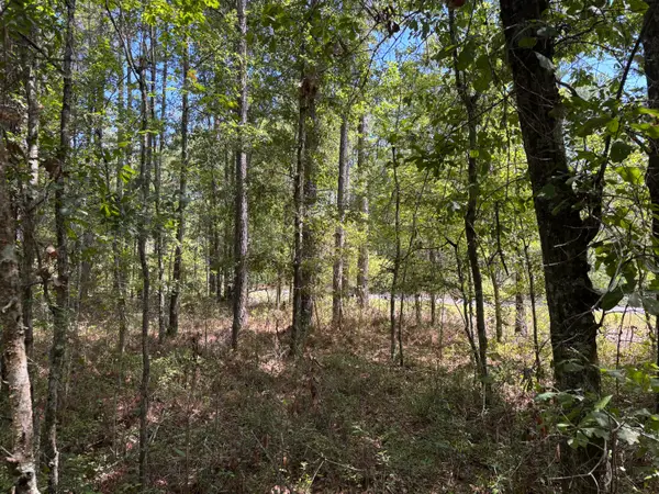 Tbd Red Oak Road, Cottageville, SC 29435