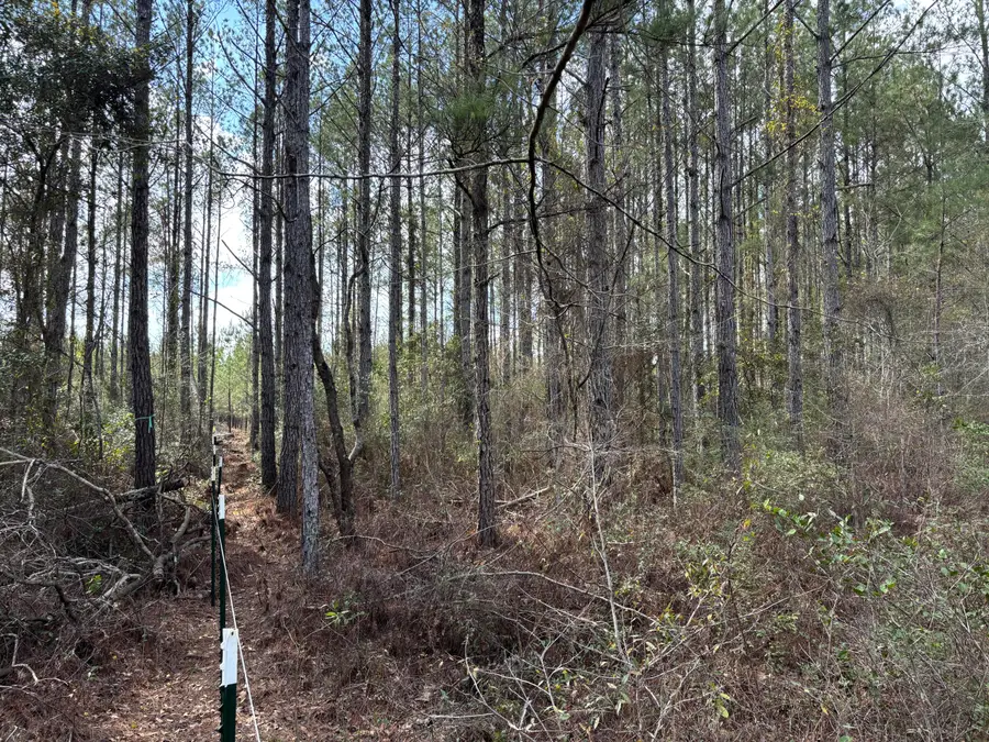 Tbd Red Oak Road, Cottageville, SC 29435 - #3