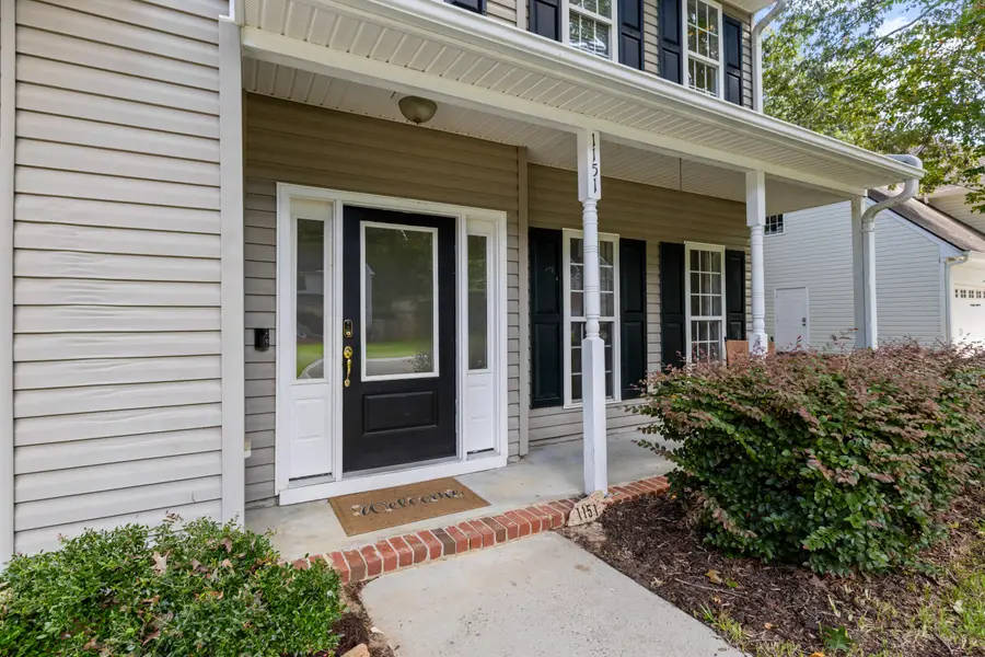 1151 Black Rush Circle, Mount Pleasant, SC 29466 - #3