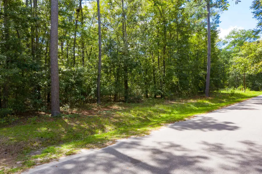 0 Gabe, Adams Run, SC 29426 - #3