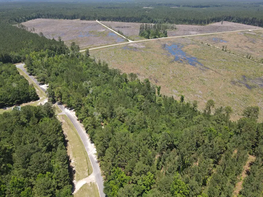 0000 Tumbleweed Road, Smoaks, SC 29481 - #2