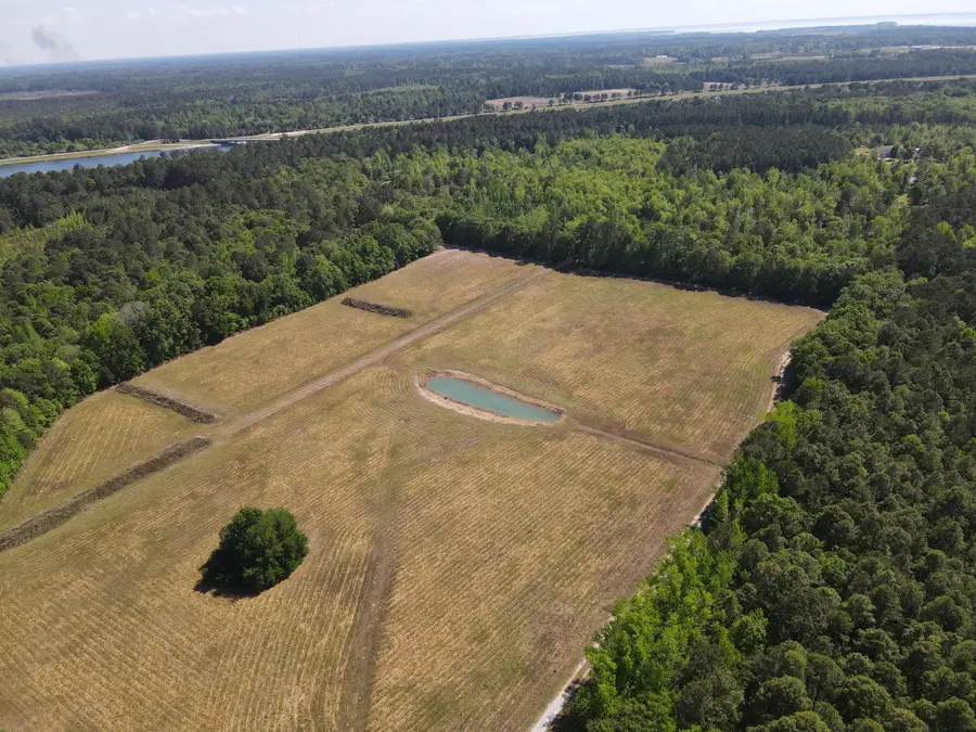 0000 Cottage Lane, Saint Stephen, SC 29479 - #2