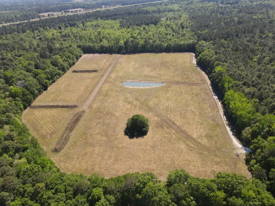 0000 Cottage Lane, Saint Stephen, SC 29479 - #3