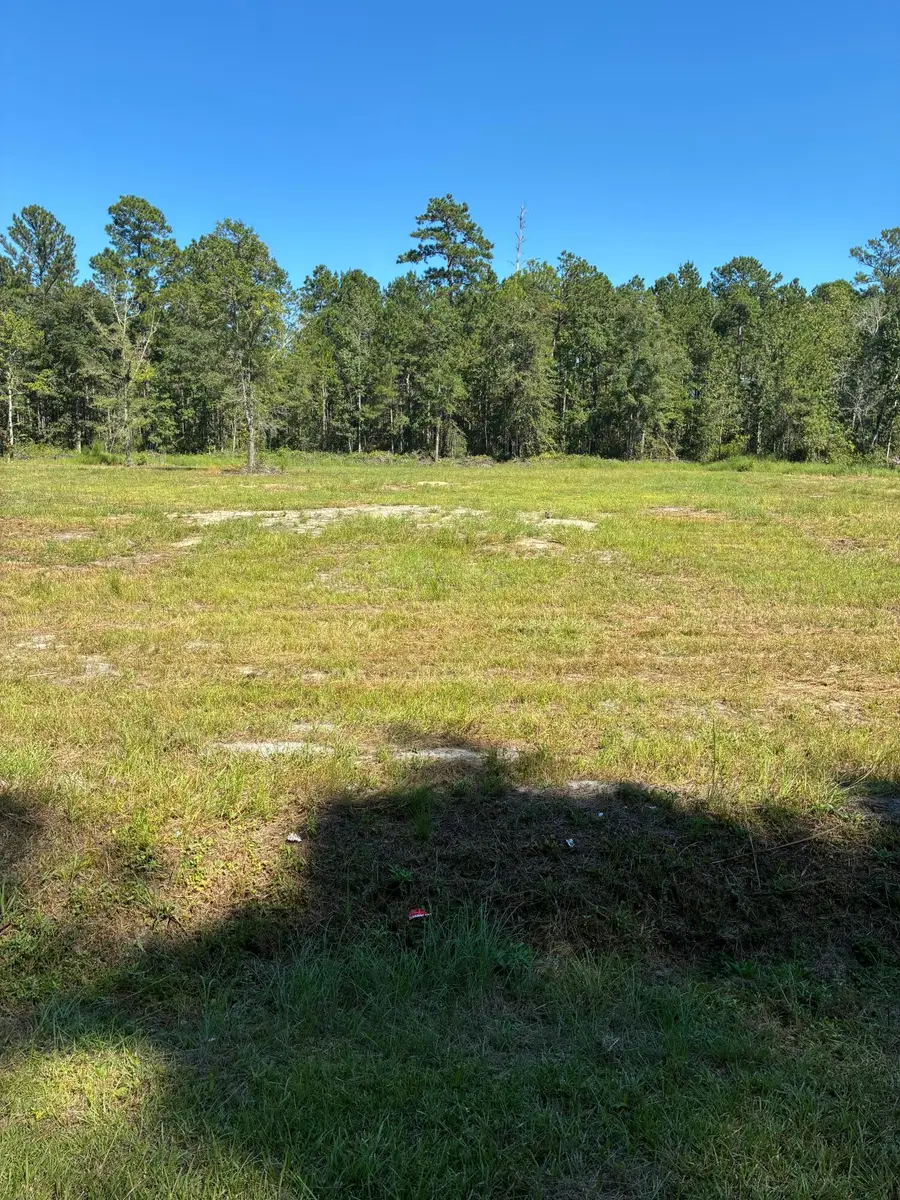 4334 Mt Carmel Road, Walterboro, SC 29488 - #3