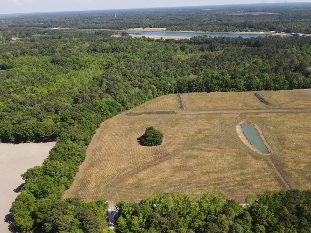 00000 Cottage Lane, Saint Stephen, SC 29479 - #1