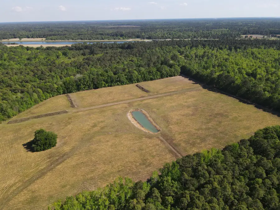 00000 Cottage Lane, Saint Stephen, SC 29479 - #2