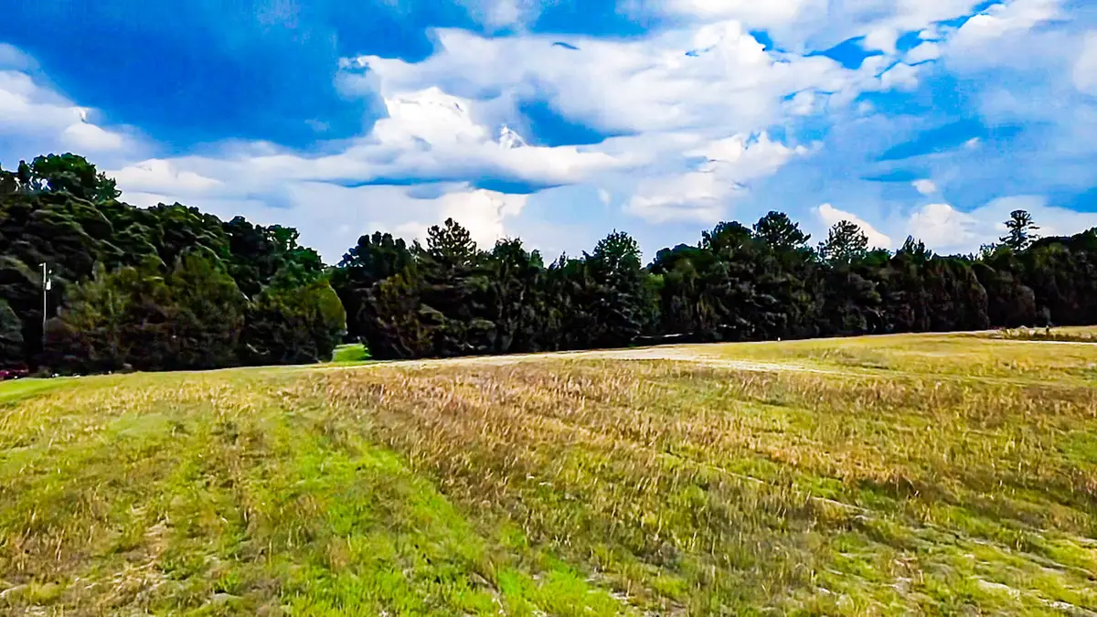 0-B Mt Carmel Road, Walterboro, SC 29488 - #1