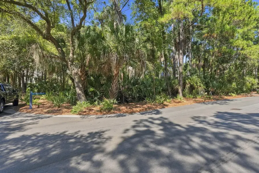 320 Moon Tide Lane, Kiawah Island, SC 29455 - #3